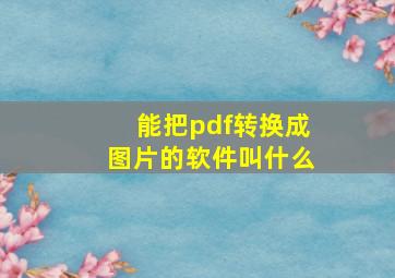 能把pdf转换成图片的软件叫什么