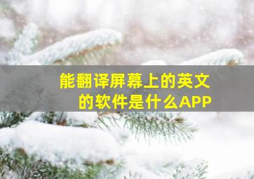 能翻译屏幕上的英文的软件是什么APP