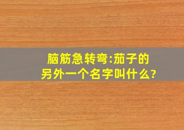 脑筋急转弯:茄子的另外一个名字叫什么?