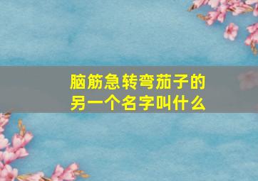 脑筋急转弯茄子的另一个名字叫什么