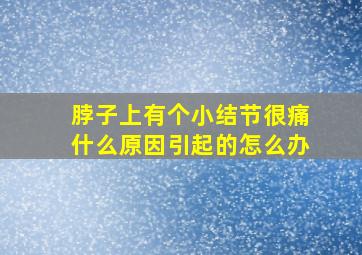 脖子上有个小结节很痛什么原因引起的怎么办