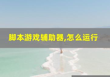 脚本游戏辅助器,怎么运行