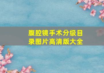 腹腔镜手术分级目录图片高清版大全