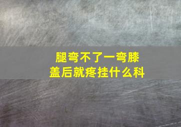 腿弯不了一弯膝盖后就疼挂什么科