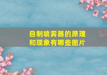 自制喷雾器的原理和现象有哪些图片