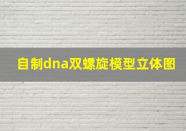 自制dna双螺旋模型立体图