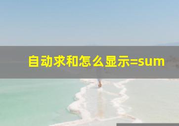 自动求和怎么显示=sum