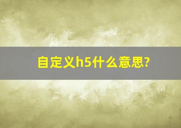 自定义h5什么意思?