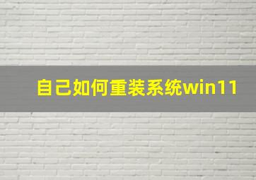 自己如何重装系统win11