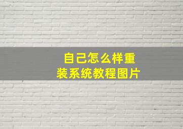 自己怎么样重装系统教程图片