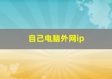 自己电脑外网ip