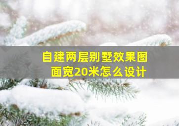 自建两层别墅效果图面宽20米怎么设计