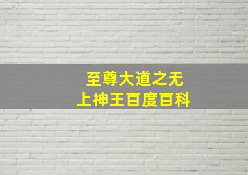 至尊大道之无上神王百度百科