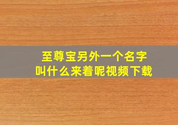 至尊宝另外一个名字叫什么来着呢视频下载