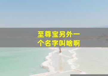 至尊宝另外一个名字叫啥啊