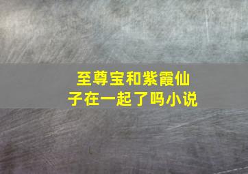 至尊宝和紫霞仙子在一起了吗小说