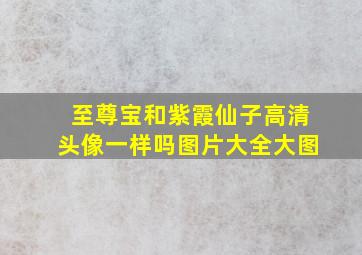 至尊宝和紫霞仙子高清头像一样吗图片大全大图