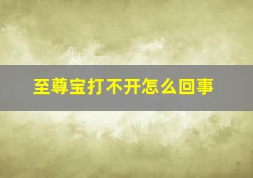 至尊宝打不开怎么回事