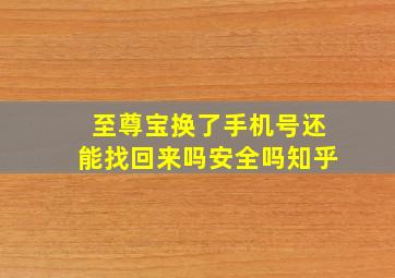 至尊宝换了手机号还能找回来吗安全吗知乎