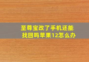 至尊宝改了手机还能找回吗苹果12怎么办