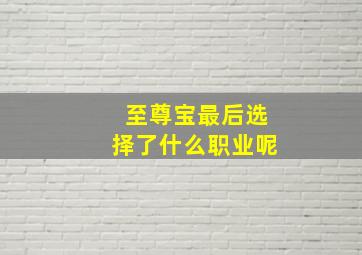 至尊宝最后选择了什么职业呢