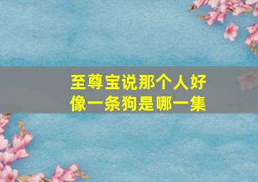 至尊宝说那个人好像一条狗是哪一集