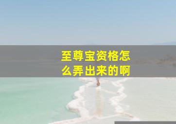 至尊宝资格怎么弄出来的啊