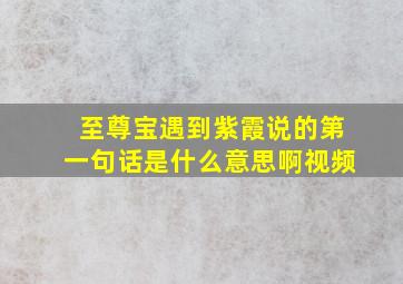 至尊宝遇到紫霞说的第一句话是什么意思啊视频