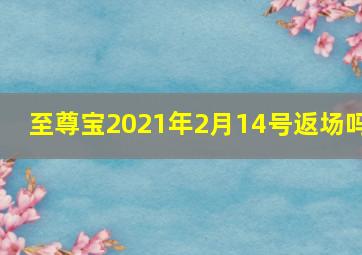 至尊宝2021年2月14号返场吗