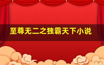 至尊无二之独霸天下小说