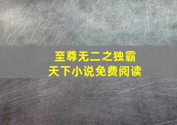 至尊无二之独霸天下小说免费阅读