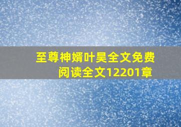 至尊神婿叶昊全文免费阅读全文12201章