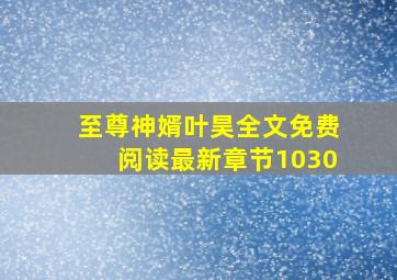 至尊神婿叶昊全文免费阅读最新章节1030