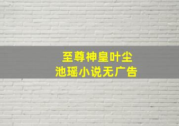 至尊神皇叶尘池瑶小说无广告