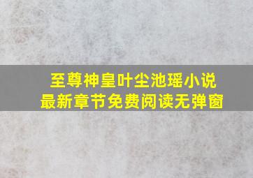 至尊神皇叶尘池瑶小说最新章节免费阅读无弹窗