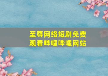 至尊网络短剧免费观看哔哩哔哩网站