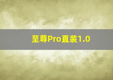 至尊Pro直装1.0