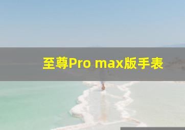 至尊Pro max版手表