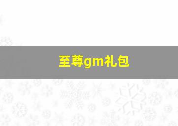 至尊gm礼包