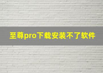 至尊pro下载安装不了软件