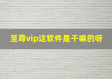 至尊vip这软件是干嘛的呀