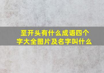 至开头有什么成语四个字大全图片及名字叫什么