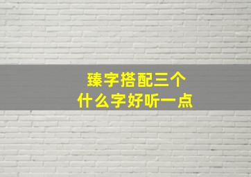 臻字搭配三个什么字好听一点