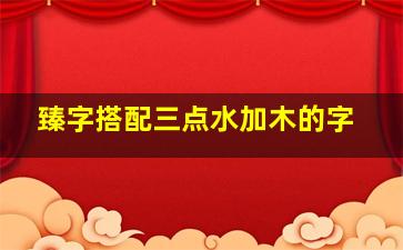 臻字搭配三点水加木的字