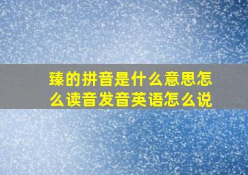 臻的拼音是什么意思怎么读音发音英语怎么说