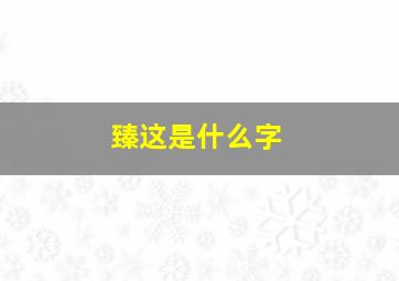 臻这是什么字