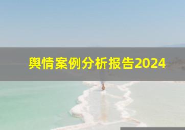 舆情案例分析报告2024