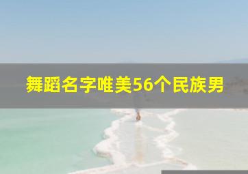 舞蹈名字唯美56个民族男