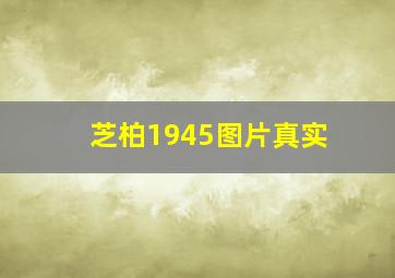 芝柏1945图片真实