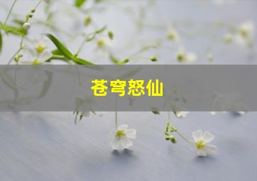 苍穹怒仙